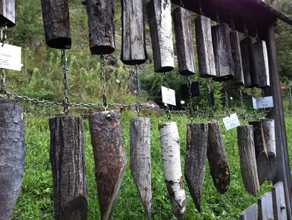 Conoscere la natura ai giardini di Merano