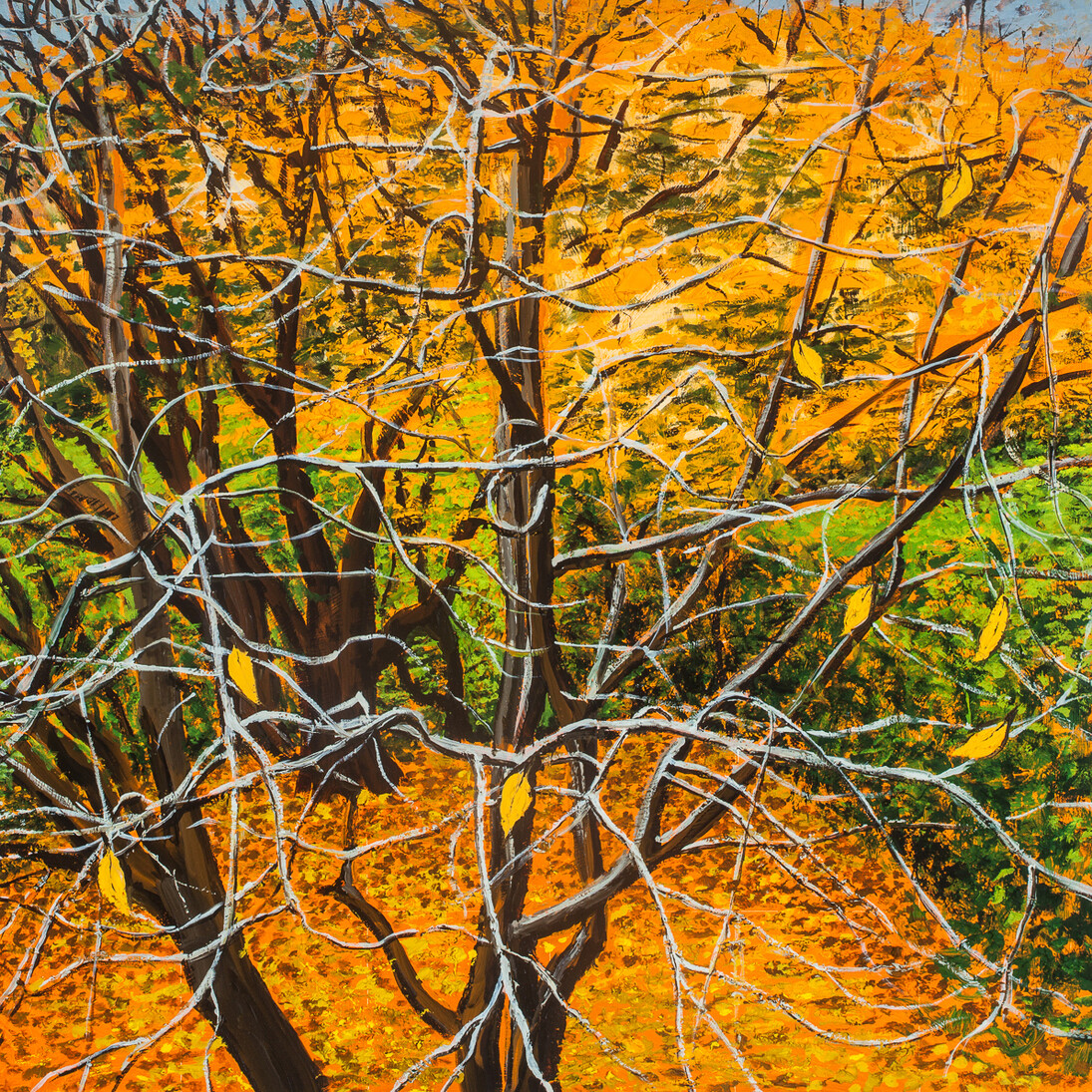 Alex Uxbridge, Autumn Abstract