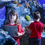 Your shipwreck adventure, exhibition view. Courtesy of Queensland Museum Tropics