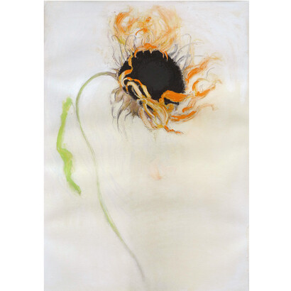 Jimmy Wright, Sunflower (Black), 2010, pastel on paper, 41x29 inches. Courtesy the artist and DC Moore Gallery
