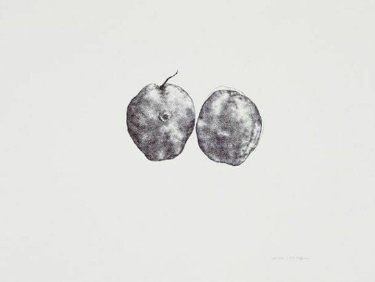 Cai Jin, Pear No. 2, 2012, Ballpoint pen on paper, 21 1/4 x 30 3/4 in (54 x 78 cm). Courtesy of the artist and Chambers Fine Art