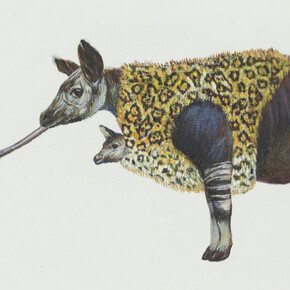Sawool Kim. Courtesy of Childs Gallery