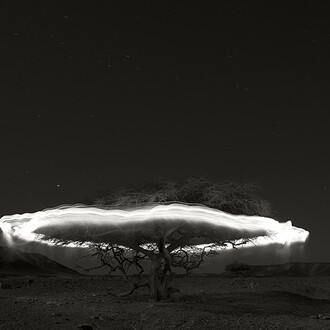 Ugo Ricciardi. Courtesy of Burning Giraffe Art Gallery