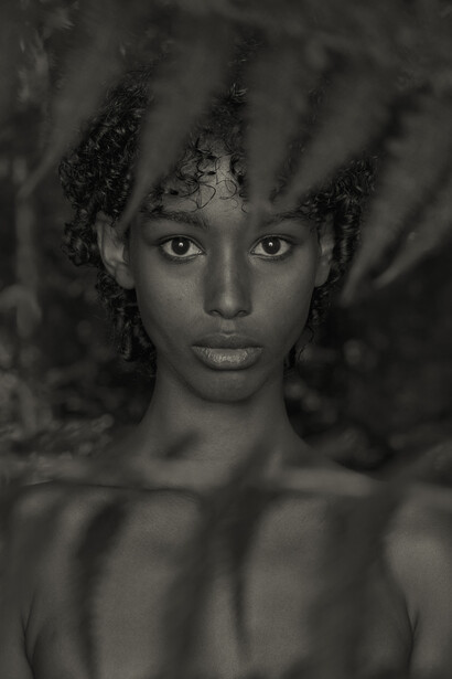 Im Wald. Porträt XII.2020. Courtesy of Edwynn Houk Gallery