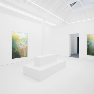 Noémie Goudal, And yet it still moves, exhibition view. Courtesy of Edel Assanti