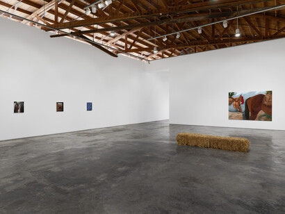 Sarah Miska, Happy trails, exhibition view. Courtesy of Night Gallery