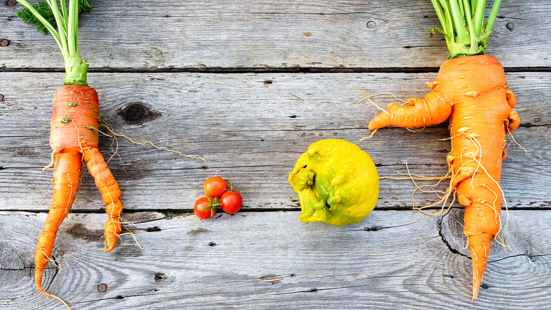 Please Love ‘Ugly’ Fruit!