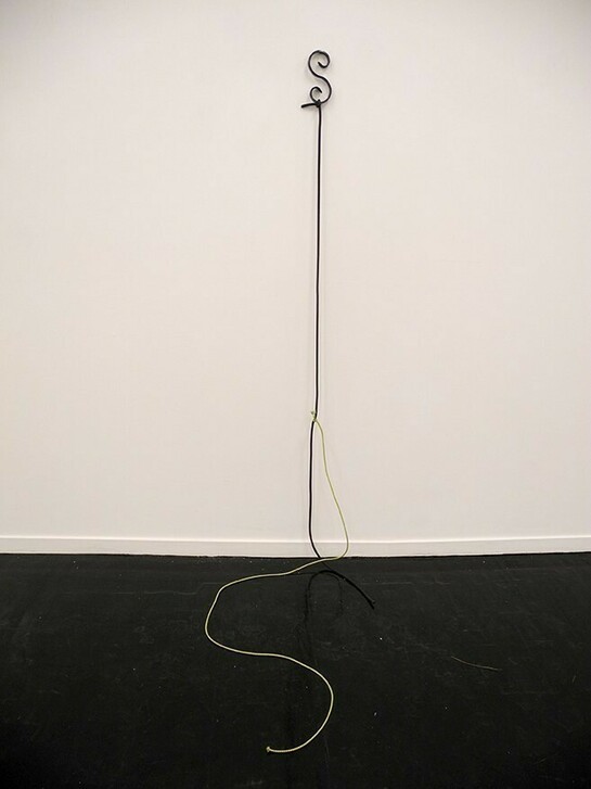 Sergio Verastegui, S (2), 2014, fer forgé, mousse, corde, dimensions variables, pièce unique, Cortex Athletico, N° Inv. SV/14/055
