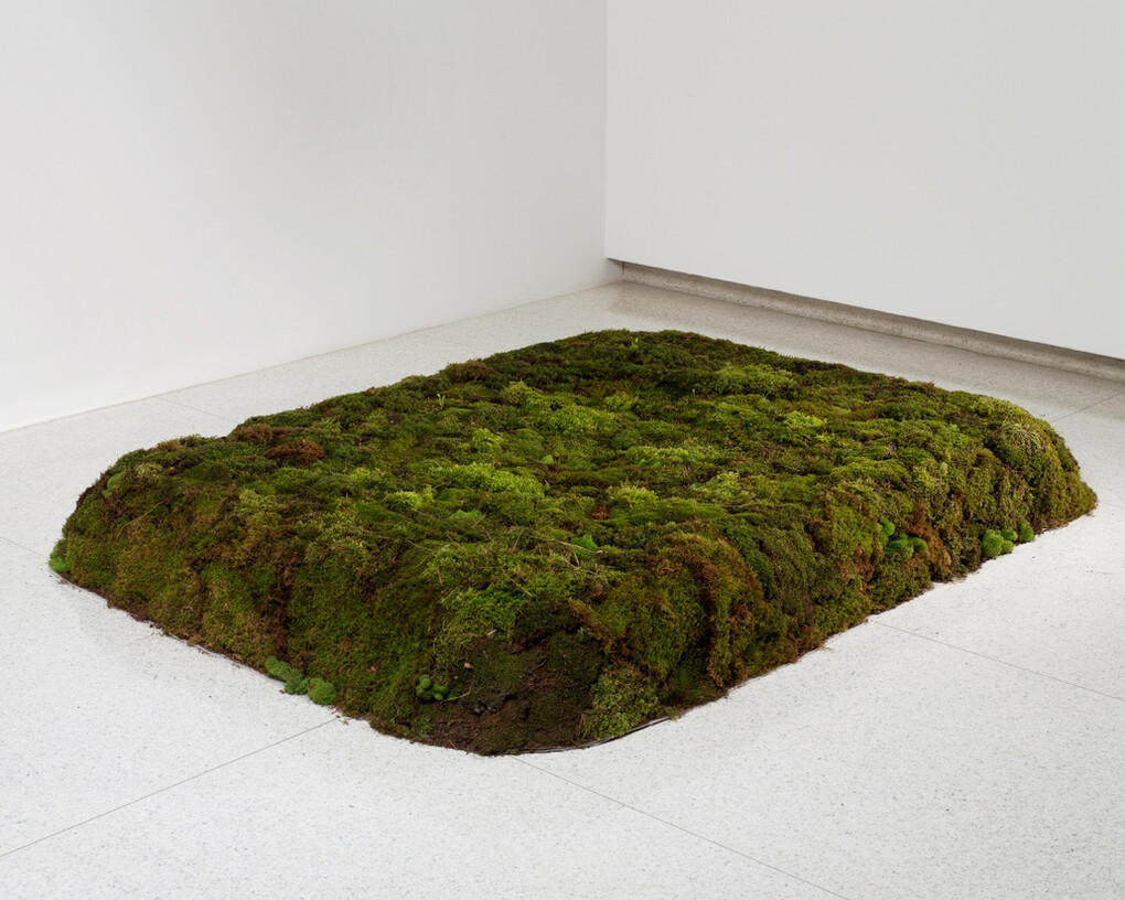 An Untitled Installation Conceived by Robert Gober. Courtesy of Aspen Art Museum