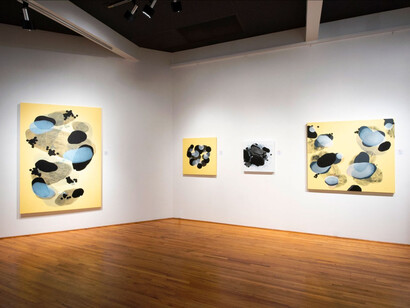 Michelle Concepción, Chaos to Order, installation view. Courtesy of the artist and ArtSpace/Virginia Miller Galleries