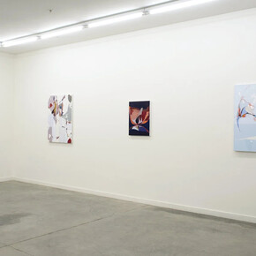 Joseph Hart, Songs against themselves, exhibition view. Courtesy of Romer Young Gallery