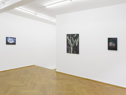 Flo Maak. Collected Stories, installation view. Courtesy of Bernhard Knaus Fine Art