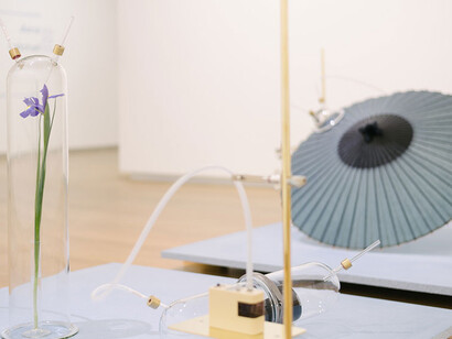 Dane Mitchell. Courtesy of Auckland Art Gallery