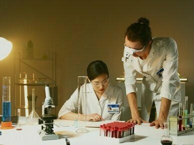 Consiste em uma rede supramolecular formada pela autoassociação da laminina, glicoproteína heterotrimérica de aproximadamente 850 quilodalton (kDa), componente majoritário da matriz extracelular das membranas basais