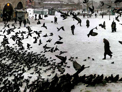 Nuri Bilge Ceylan, Karda güvercinler (pigeons in winter), 2004. Courtesy of Eye Filmmuseum