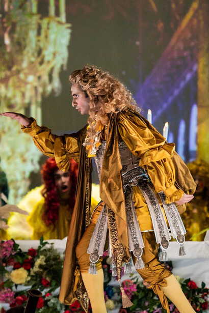 Dandini