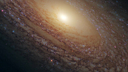 Mientras tanto, el yo sigue ahí: en su centro inexistente