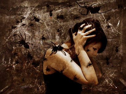 Aracnofobia (miedo a las arañas)