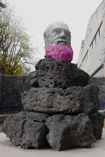 Escultura de Charles Darwin, con la barba y las cejas rosas, en la Facultad de Ciencias de la UNAM