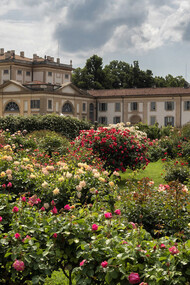 Roseto della Villa Reale di Monza