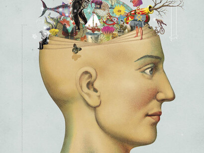 Selection and redundancy  
