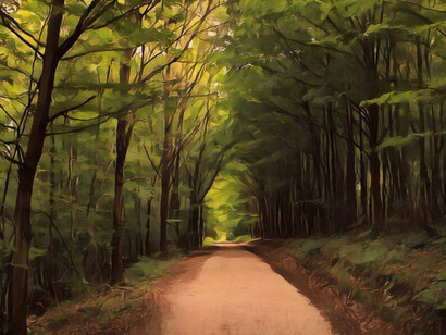 Il viaggio è nella testa, il cammino è nel cuore, dentro alle vie che si devono attraversare, dentro alle parole che si scrivono per rimanere