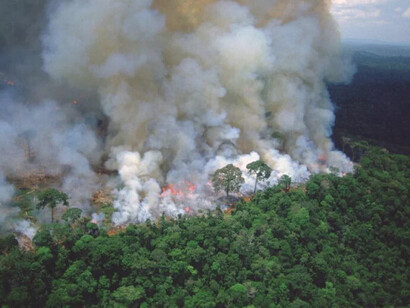 Incêndios na floresta Amazônica, Brasil, dispararam 120% somente em 2023