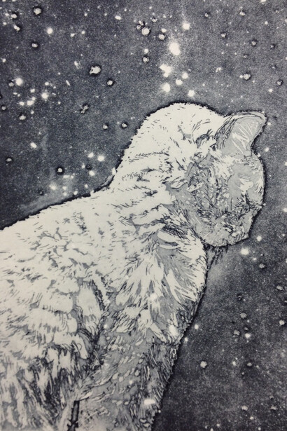 Snow Cat by Camilla Fanning