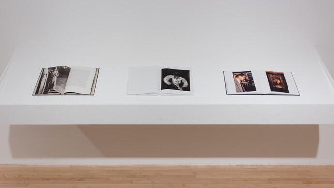 Real Worlds. Courtesy of MOCA