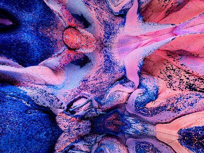 Living Painting: Nature, Refik Anadol Opening Kunsthal Rotterdam photo by © İdil Burkutoğlu