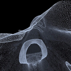 Not A Single Bone. Courtesy of Nome