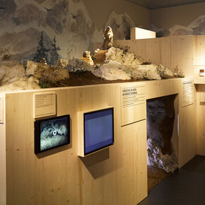 At the marmots, you will find a reconstructed marmot burrow equipped with an infra-red camera.© Swiss National Museum