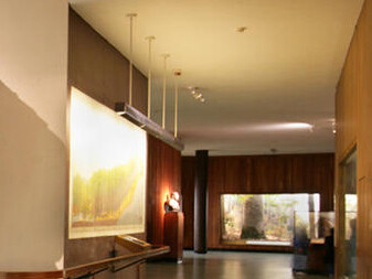 Hall of North American Forests. Courtesy of American Museum of Natural History