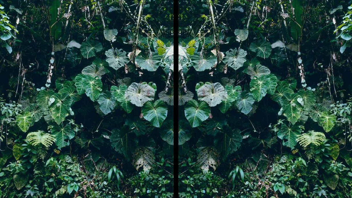 Karen Paulina Biswell, Signos en rotación. Courtesy of Huxley-Parlour Gallery