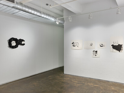 Torey Akers, Besotted, exhibition view. Courtesy of A.I.R Gallery