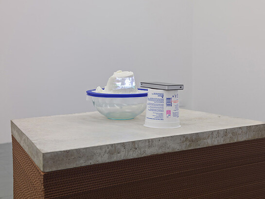 Untitled, 2010, Silkscreened acrylic on dye-printed linen with vinyl ribbon, 78 x 51 inches. Courtesy of the artist and Miguel Abreu Gallery