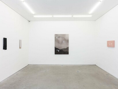 Donkey Man, exhibition view. Courtesy of Mendes Wood DM