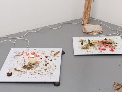Hannah Lees, The Turning Of Existence Into Its Opposite, 2017. Installation view. Kingsgate Project Space, London, UK. Photographer: Dan Bass.
