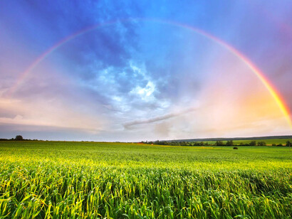 Campo con un arcoíris en el horizonte