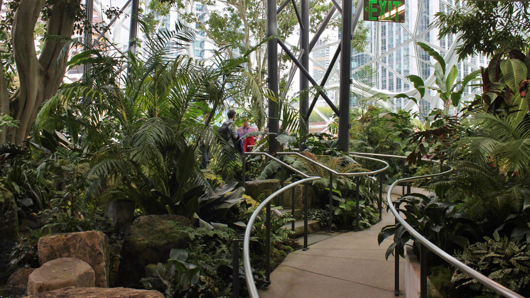 Located at Amazon’s Seattle headquarters, the Amazon Spheres are three interconnected glass conservatories designed by NBBJ and Site Workshop to integrate nature into the workplace