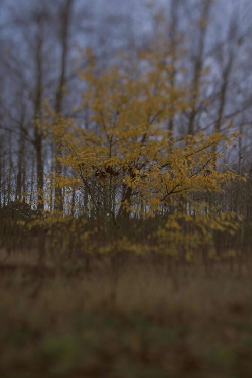 Launch Exhibition. Courtesy of Black Box Projects