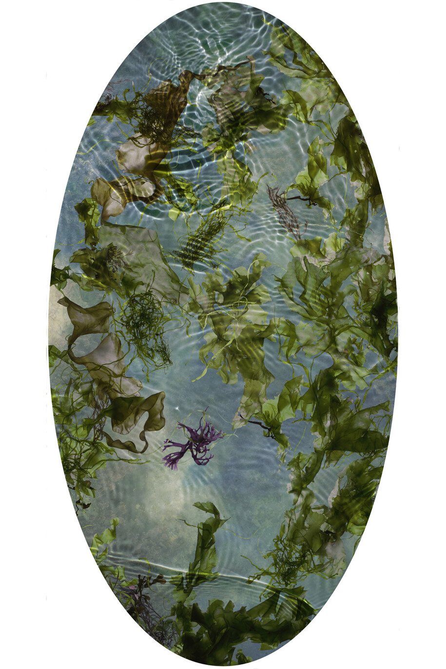 Susan Derges, Tide Pool 26, Unique C type print, 121.9 x 64.5 cm, 48 x 25.4 inches