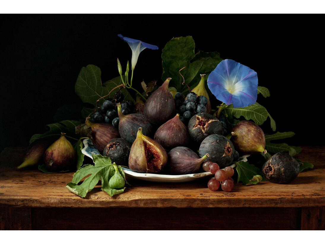 Paulette Tavormina, Figs and Morning Glories, After GG, 2010 © Paulette Tavormina. Courtesy Huxley-Parlour Gallery, London