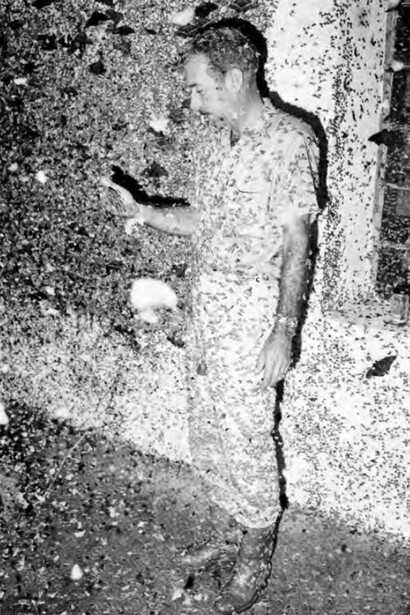 Francisco cubierto de polillas frente a la luz de mercurio una noche de recolección en la Estación Biológica de Rancho Grande, Parque Nacional Henri Pittier, Aragua, Venezuela (Foto: colección Alberto Fernández Badillo)