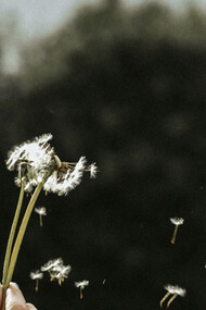 Life and Death