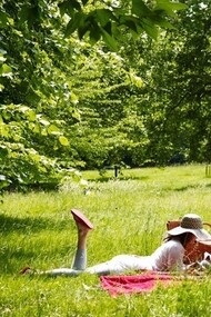 Picnic in June