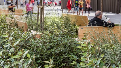 Un hombre lee un libro en una de las zonas ajardinadas del Passeig de Sant Joan de Barcelona. Foto: Adrià Goula