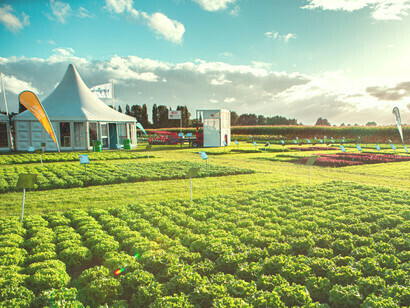 Syngenta è una struttura ad alta tecnologia, suddivisa in diverse aree
