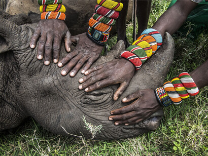 Ami Vitale, USA, National Geographic - Second Prize Nature Category, Singles