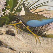 Seeing in Detail. Courtesy of Amon Carter Museum of American Art